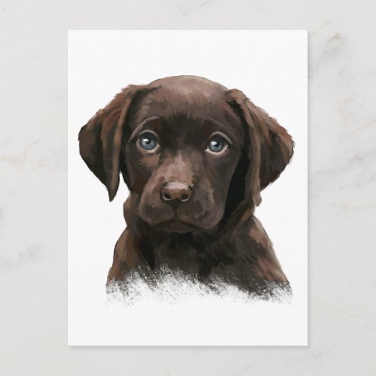Chocolate Labrador Briefkaart (Voorkant)
