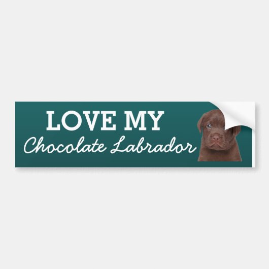 Chocolate Labrador Bumpersticker (Voorkant)