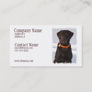 Chocolate Labrador Business Card Visitekaartje