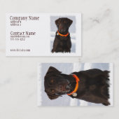 Chocolate Labrador Business Card Visitekaartje (Voorkant / Achterkant)