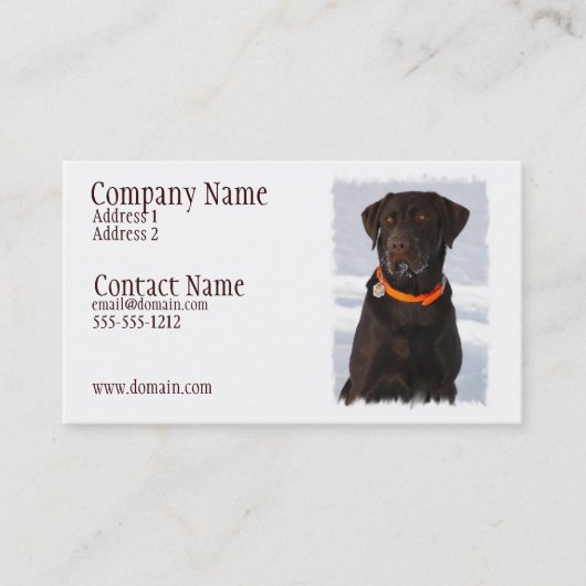 Chocolate Labrador Business Card Visitekaartje (Voorkant)