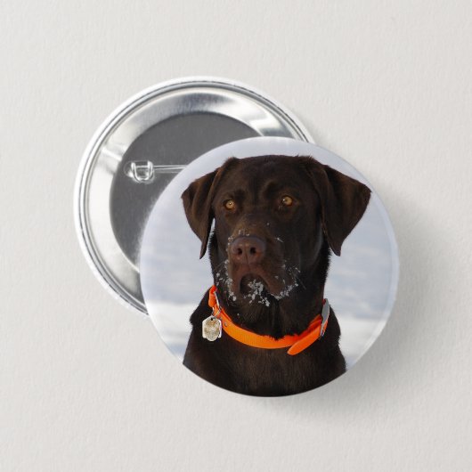 Chocolate Labrador Button (Voorkant /achterkant)
