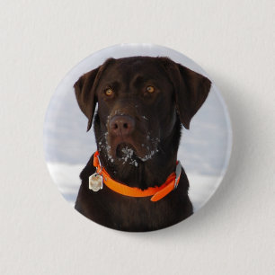 Chocolate Labrador Button