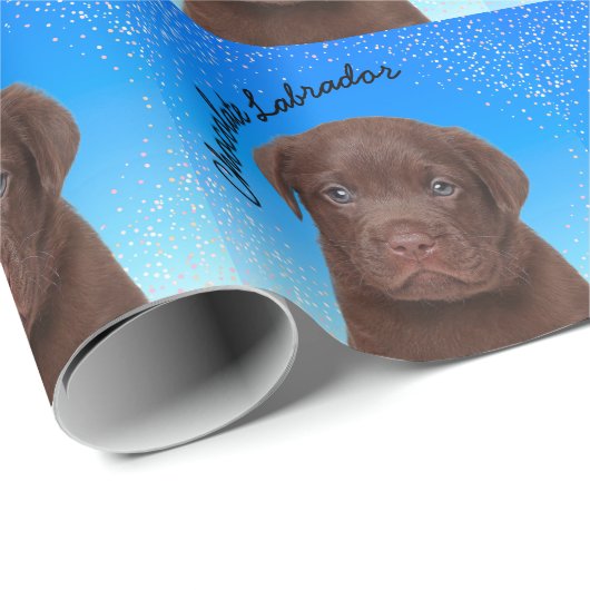 Chocolate Labrador Cadeaupapier (Rol Hoek)