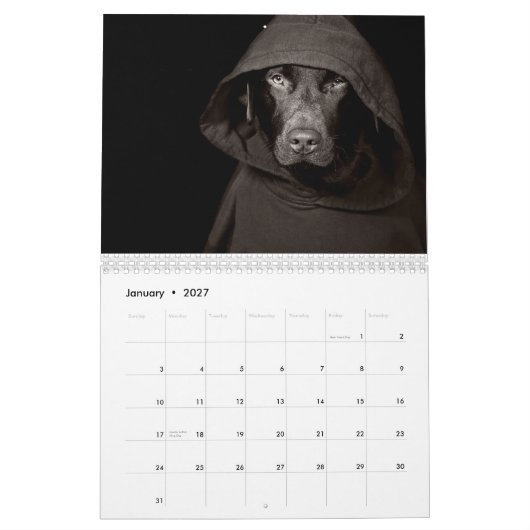 Chocolate Labrador Calendar 2010 Kalender (Jan 2027)