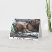 Chocolate Labrador Christmas Kaarten (Achterkant)