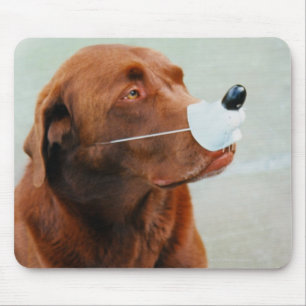 Chocolate Labrador die een slang heeft Muismat