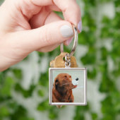 Chocolate Labrador die een slang heeft Sleutelhanger (Hand)