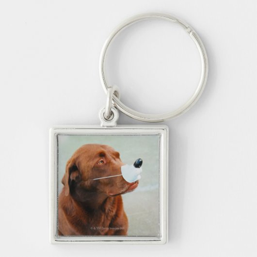 Chocolate Labrador die een slang heeft Sleutelhanger (Voorkant)