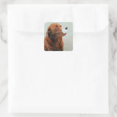 Chocolate Labrador die een slang heeft Vierkante Sticker (Tas)