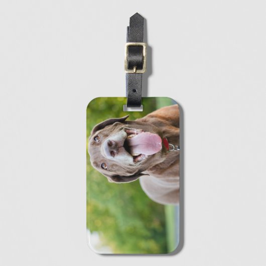 Chocolate Labrador Dog Bagagelabel (Voorkant (verticaal))