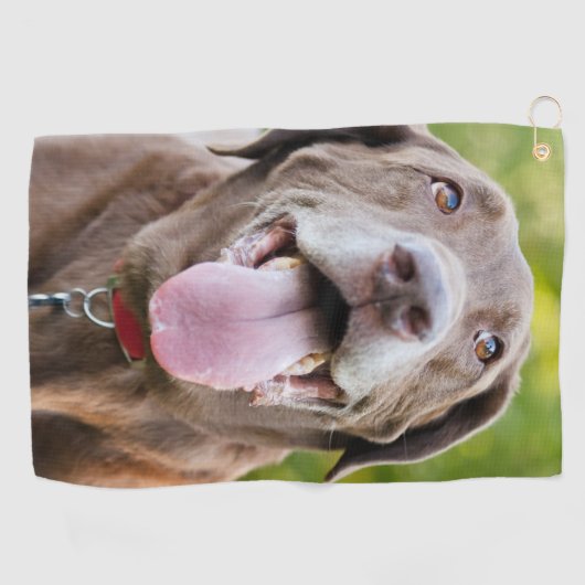Chocolate Labrador Dog Golfhanddoek (Horizontaal)