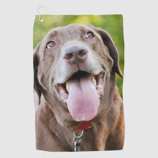 Chocolate Labrador Dog Golfhanddoek (Voorkant)