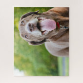 Chocolate Labrador Dog Legpuzzel (Verticaal)