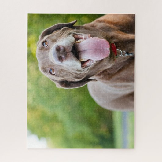 Chocolate Labrador Dog Legpuzzel (Verticaal)