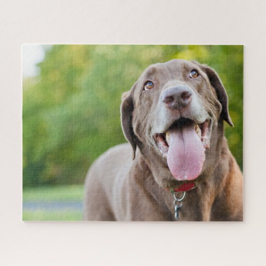 Chocolate Labrador Dog Legpuzzel (Horizontaal)