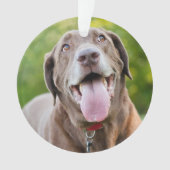 Chocolate Labrador Dog Ornament (voorkant)