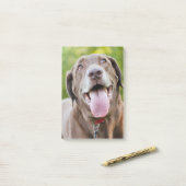 Chocolate Labrador Dog Post-it® Notes (Op bureau)
