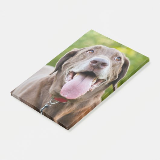 Chocolate Labrador Dog Post-it® Notes (Schuin)