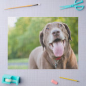 Chocolate Labrador Dog Tissuepapier (Craft)