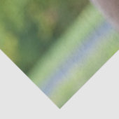 Chocolate Labrador Dog Tissuepapier (Detail)