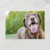 Chocolate Labrador Dog Visitekaartje (Voorkant)