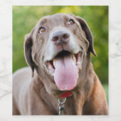 Chocolate Labrador Dog Wijn Etiket (Enkel label)