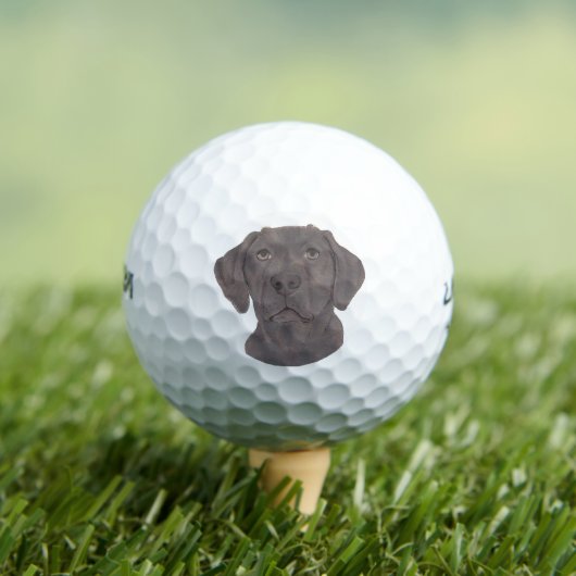 Chocolate Labrador Golfballen (Insitu Shirt)