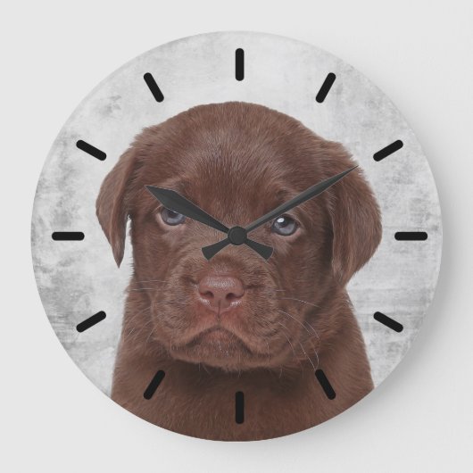 Chocolate Labrador Grote Klok (Voorkant)