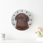 Chocolate Labrador Grote Klok (Huis)