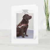 Chocolate Labrador Guide Dog Graduation Kaart (Voorkant)