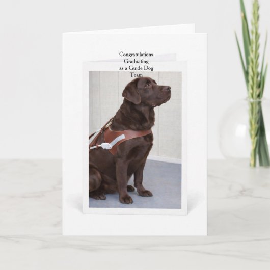 Chocolate Labrador Guide Dog Graduation Kaart (Voorkant)