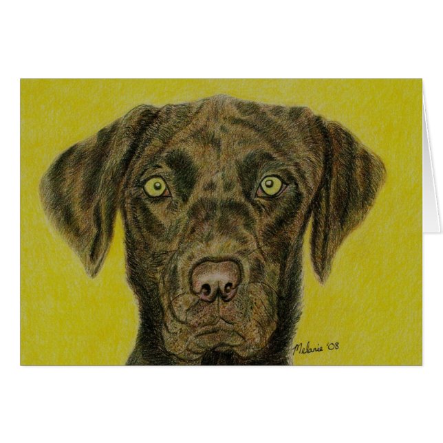 Chocolate Labrador - Hershey (Voorkant Horizontaal)