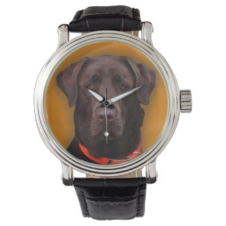 Chocolate Labrador Horloge