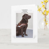 Chocolate Labrador Hulphond Afstudeerfeest Kaart (Gele Bloem)