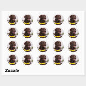 Chocolate Labrador Hulphond Afstudeerfeest Ronde Sticker (Vel)
