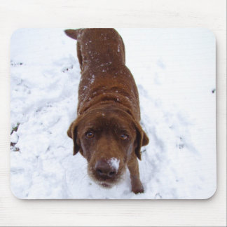 Chocolate Labrador in sneeuw Muismat