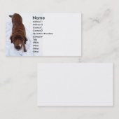 Chocolate Labrador in sneeuwVisitekaartje Visitekaartje (Voorkant / Achterkant)