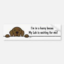 Chocolate Labrador kijkt naar je Bumpersticker
