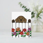 Chocolate Labrador kijkt naar jou Briefkaart (Staand voorkant)