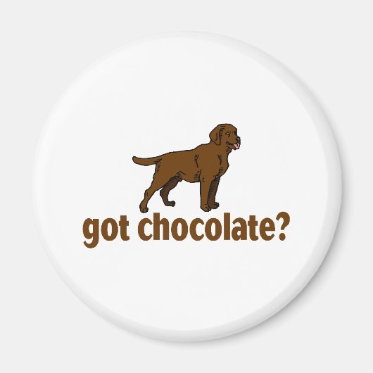 Chocolate Labrador Magneet (Voorkant)