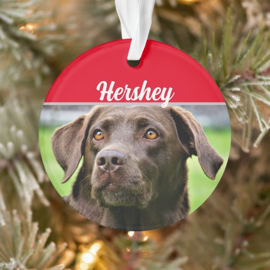 Chocolate Labrador met naam en kerstfoto Ornament (Boom)