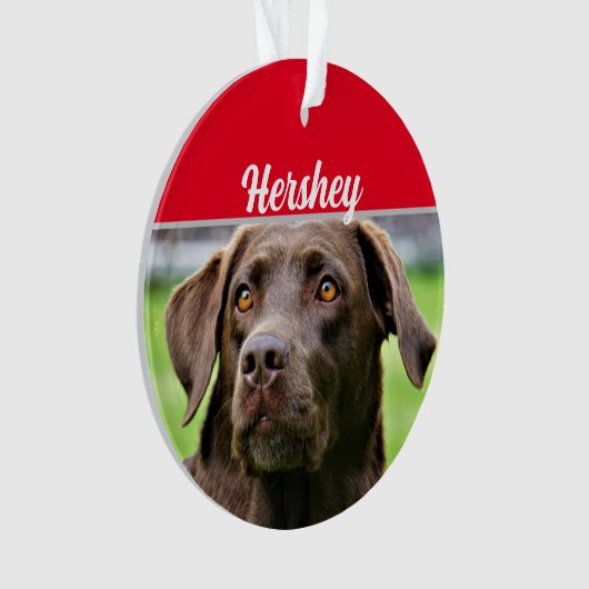 Chocolate Labrador met naam en kerstfoto Ornament (voorkant)