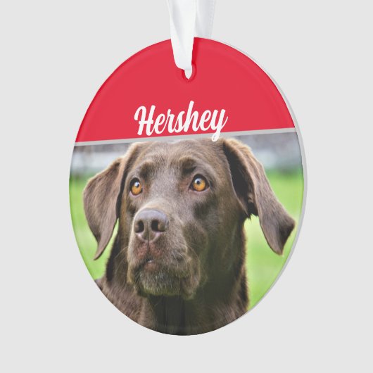 Chocolate Labrador met naam en kerstfoto Ornament (voorkant)