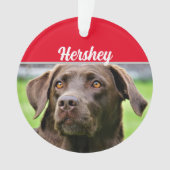Chocolate Labrador met naam en kerstfoto Ornament (voorkant)