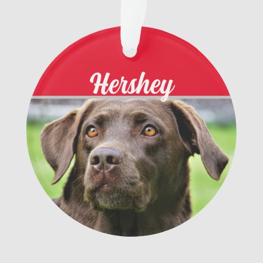 Chocolate Labrador met naam en kerstfoto Ornament (voorkant)