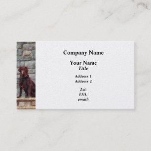 Chocolate Labrador op Porch - Platinum Finish Visitekaartje