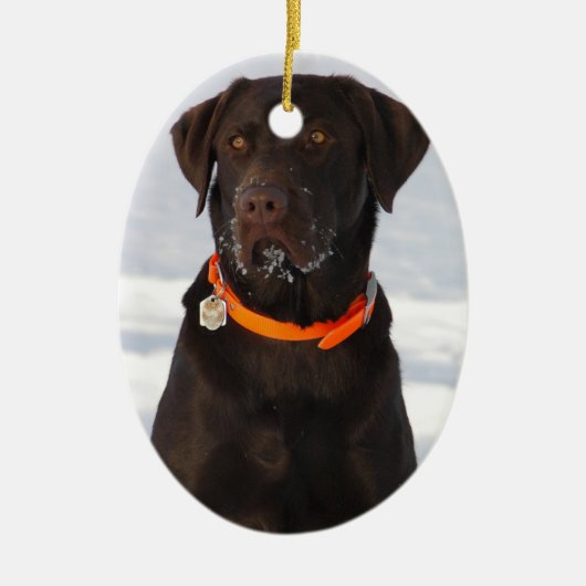 Chocolate Labrador Ornament (Voorkant)