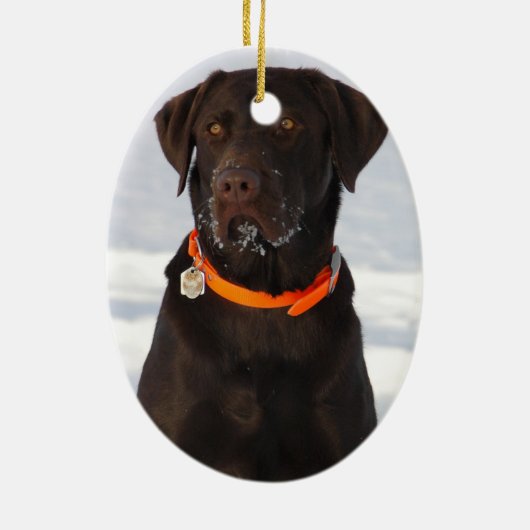 Chocolate Labrador Ornament (Achterkant)