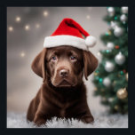 Chocolate Labrador Poster<br><div class="desc">Schattige Chocolate Labrador met een kerstmuts.</div>